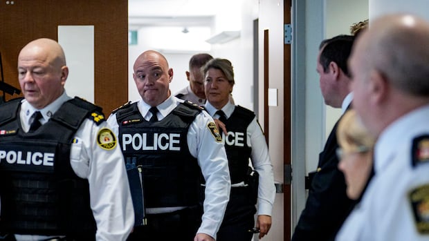 Watchdog probes alleged misconduct by Peel, Toronto police officers linked to Project South