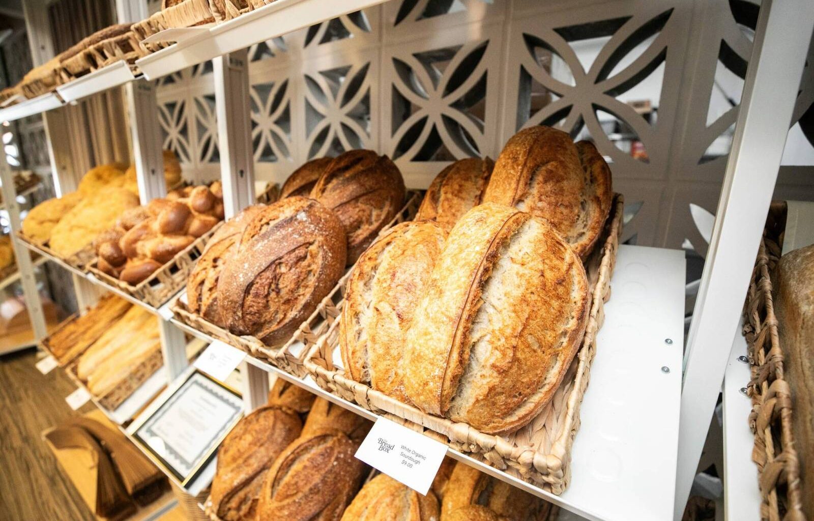 Building ‘fabulous buzz’ on Fort Street – Winnipeg Free Press