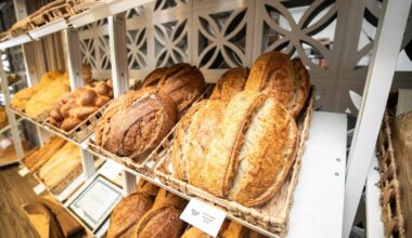 Building ‘fabulous buzz’ on Fort Street – Winnipeg Free Press