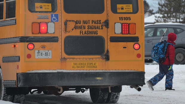 Students who walk to school through 'hazard zones' can soon ride the bus instead