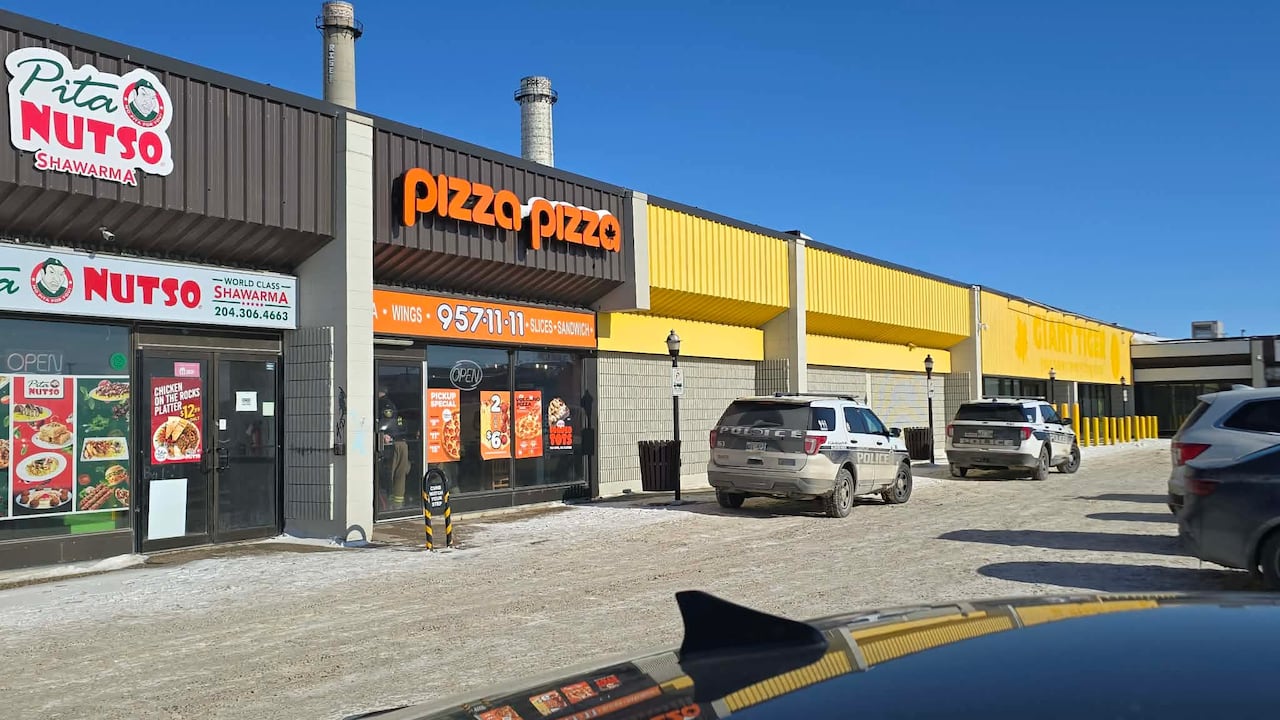 What we know about the violent dispute that led to Winnipeg boy's abduction | Hanomansing Tonight