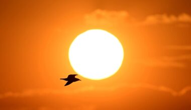 Declining Aerosol Pollution Linked To Increased Solar Radiation, Study Finds