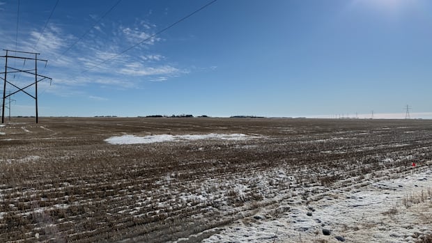 Confusion and questions surround proposed AI data centre near Regina