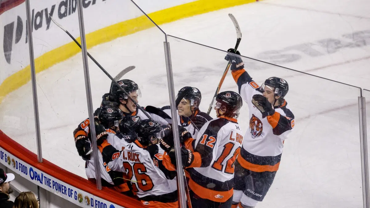 Medicine Hat Tigers set to conclude regular season series with Calgary Hitmen