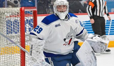 Sudbury Wolves clinch key victory in 4-1 win over Brampton Steelheads