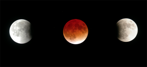Late Night Lunar Eclipse – Wawa-news.com