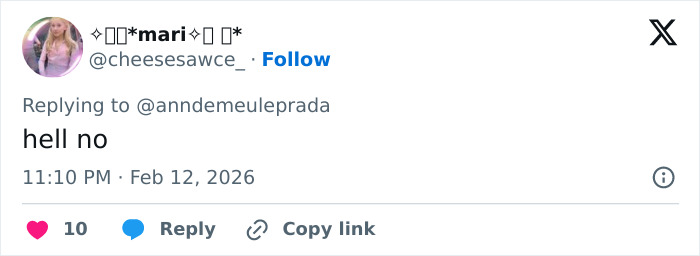 Screenshot of a tweet reply from user cheesesawece_ saying hell no with timestamp and engagement icons visible. Screenshot of a tweet reply from user cheesesawece_ saying hell no with timestamp and engagement icons visible.