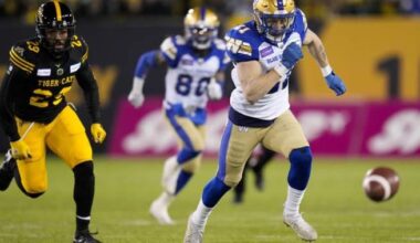 Winnipeg Blue Bombers re-sign defensive back Nick Hallett - Winnipeg