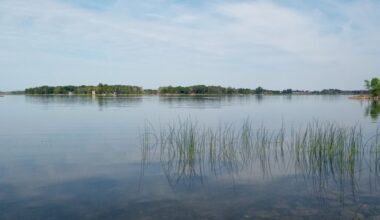 Severn Sound member municipalities reach climate action milestone