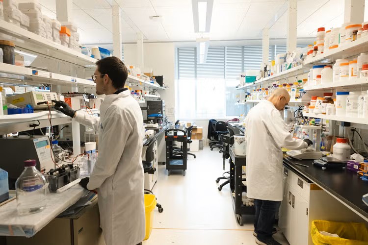 Alexander Sever and Enrico Rennella at work in the Kay/Forman-Kay lab at SickKids Research Institute.