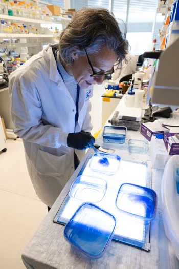 Rhea Hudson analyzes a protein sample.