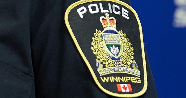 Man charged after adult, child assaulted in Winnipeg: police - Winnipeg