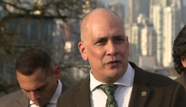 Vancouver Greens decline proposal for progressive primary