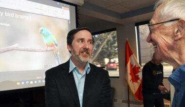 Studying bird brains not as dumb as it may sound