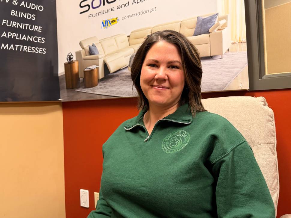 Rescued lynx Lumi recovering at Wildlife Haven - SteinbachOnline.com