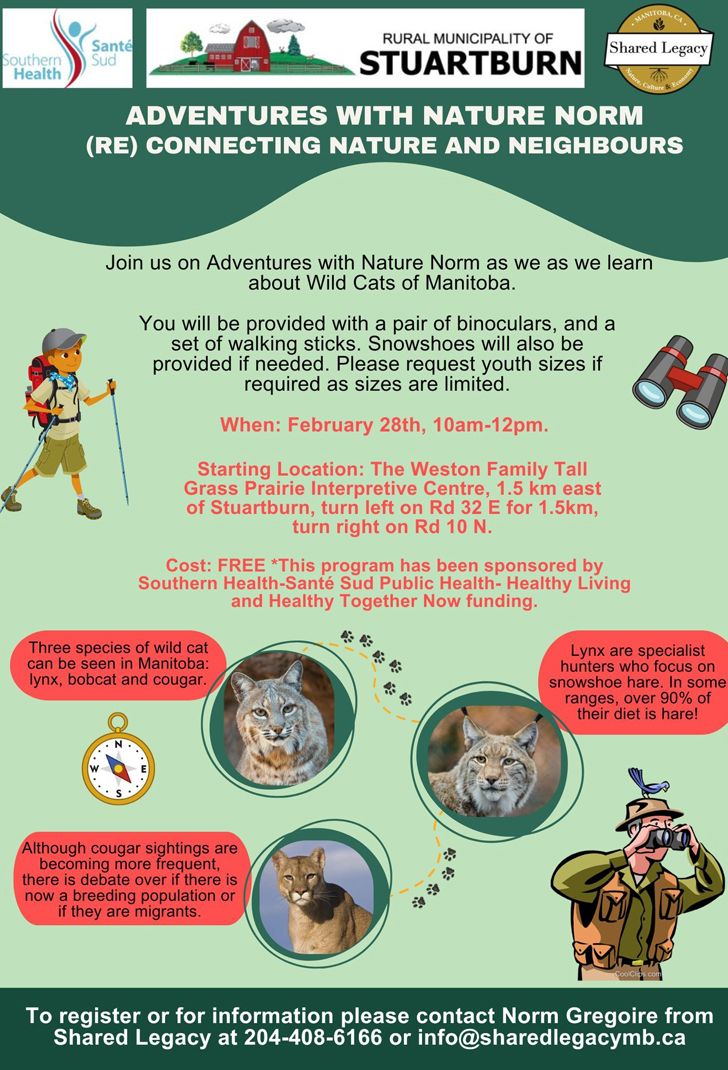 A poster with various details of the wild cats workshop with Adventures with Nature Norm.