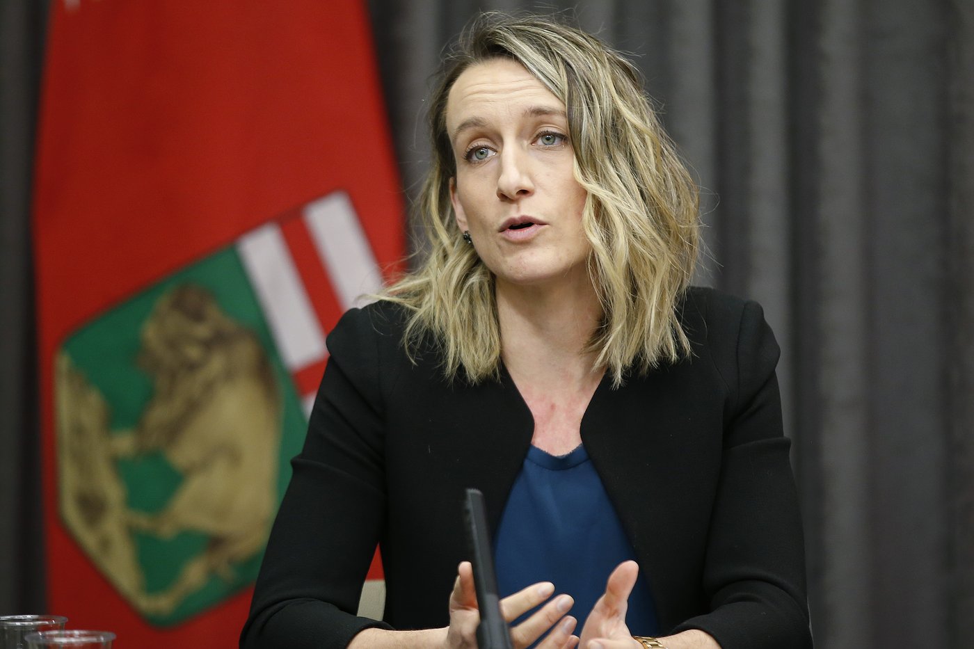 Dr. Joss Reimer named Canada's new chief public health officer