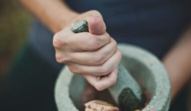 Wild Medicine Walks to take place across Gloucestershire