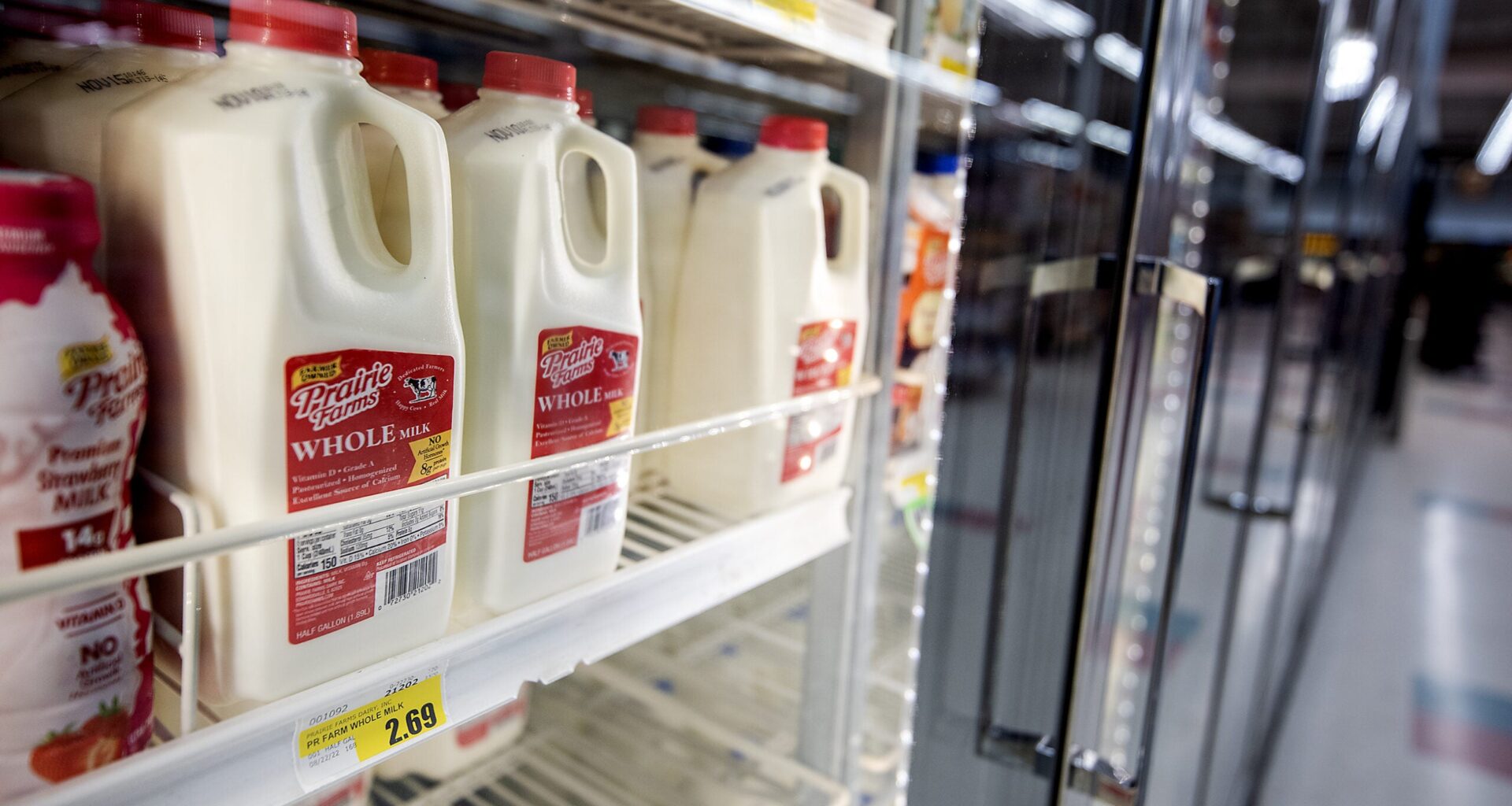 Americans drank more milk in 2024, reversing a decade-long decline