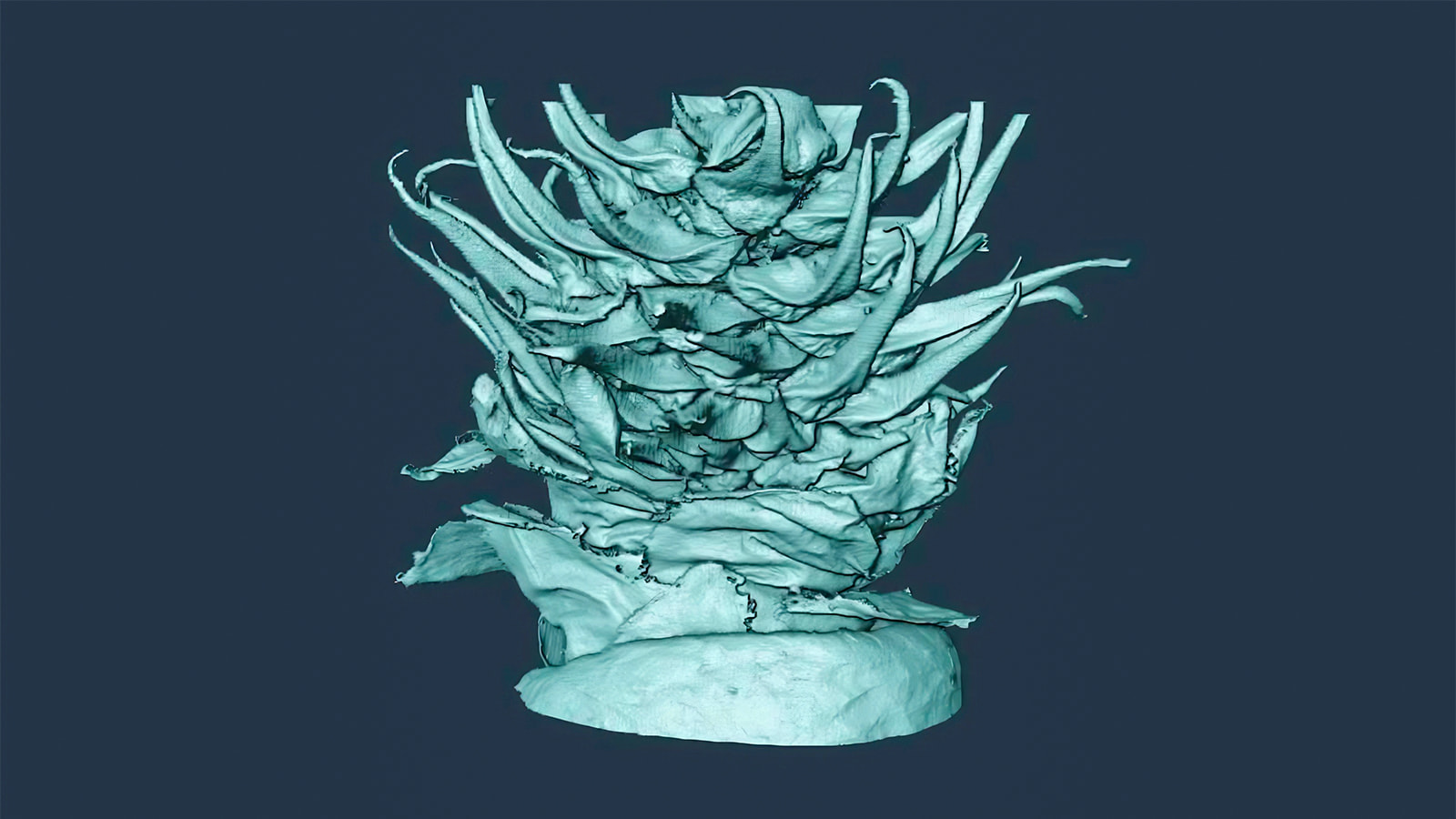 High-tech imaging could improve cultivation of trees essential to Alberta’s forestry industry