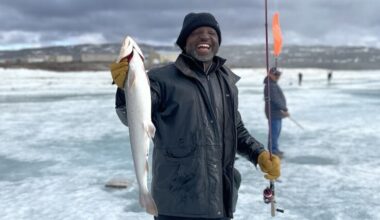 Gorillas, caribou and lots of vacuuming