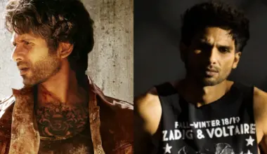 Top 10 Shahid Kapoor openings at box office