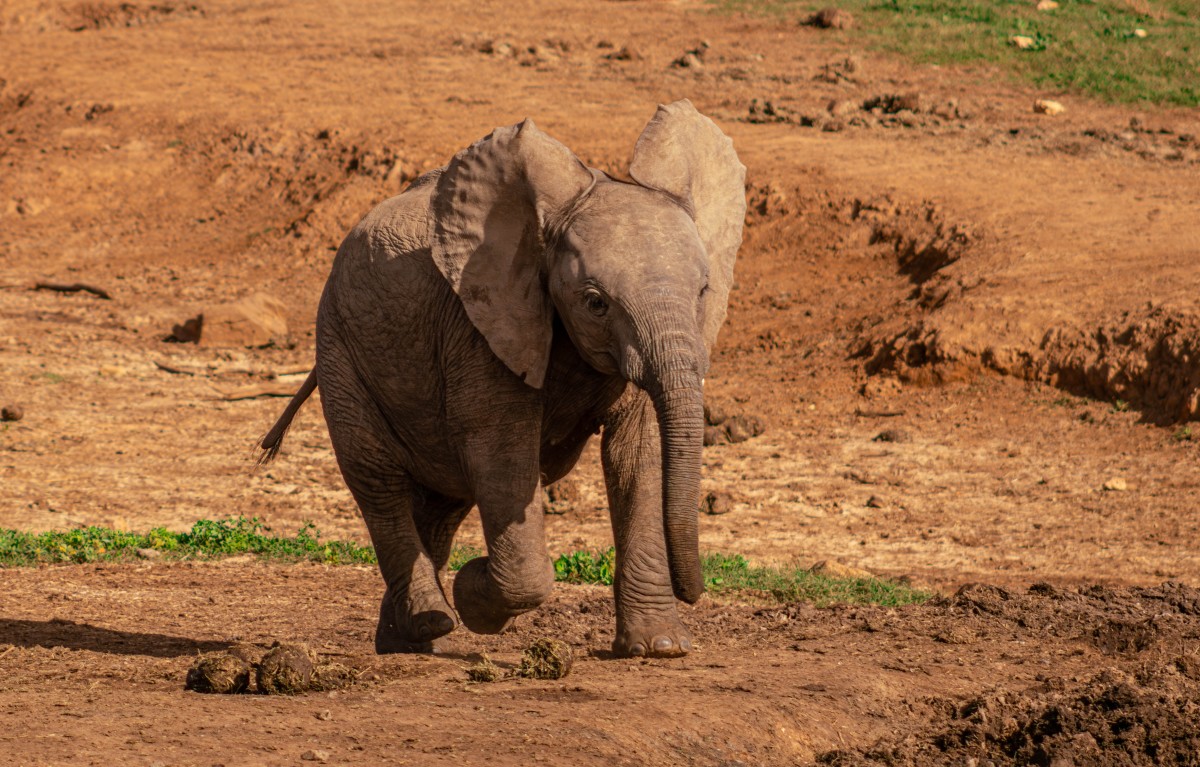 Yahoo lifestyle home