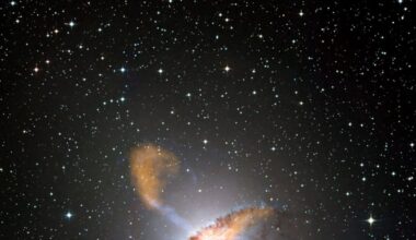 Chance glimpse of star collapse offers new insight into black hole formation - CTV News