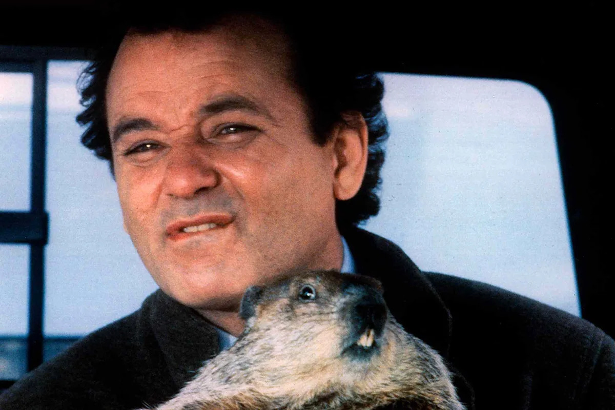 Bill Murray Learned “Groundhog Day ”Woodchuck Was Wild After It Bit Him Twice During Filming