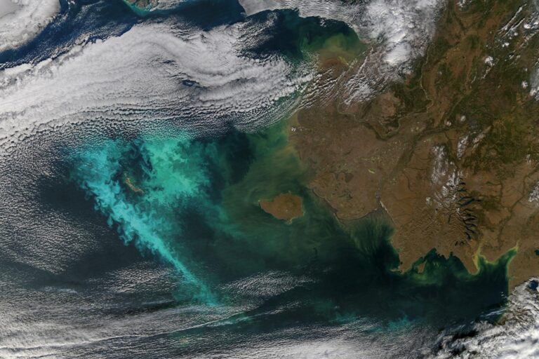 Island in the Bering Sea in October 2014. Microalgae fertilization is a suggested marine CDR method that could capture carbon by adding nutrients to the ocean to create phytoplankton blooms. But this technology could have wide-ranging ecosystem impacts.