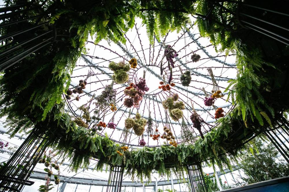 MIKAELA MACKENZIE / FREE PRESS
The Leaf transitions to its new exhibit.