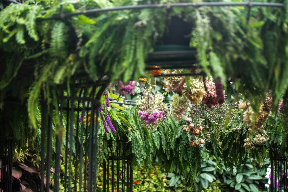 MIKAELA MACKENZIE / FREE PRESS
The Leaf transitions to its new exhibit.