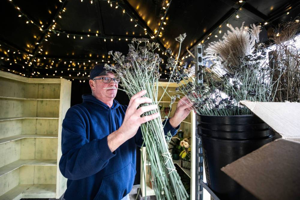 MIKAELA MACKENZIE / FREE PRESS
Curator Wade Meisner uses dried flowers from the gardens in Assiniboine Park to arrange the “shed” in The Leaf’s new exhibit.
