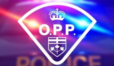 Two men die following head-on collision east of Renfrew, Ont. - CTV News