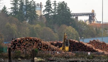 How to save Canada’s troubled forestry industry