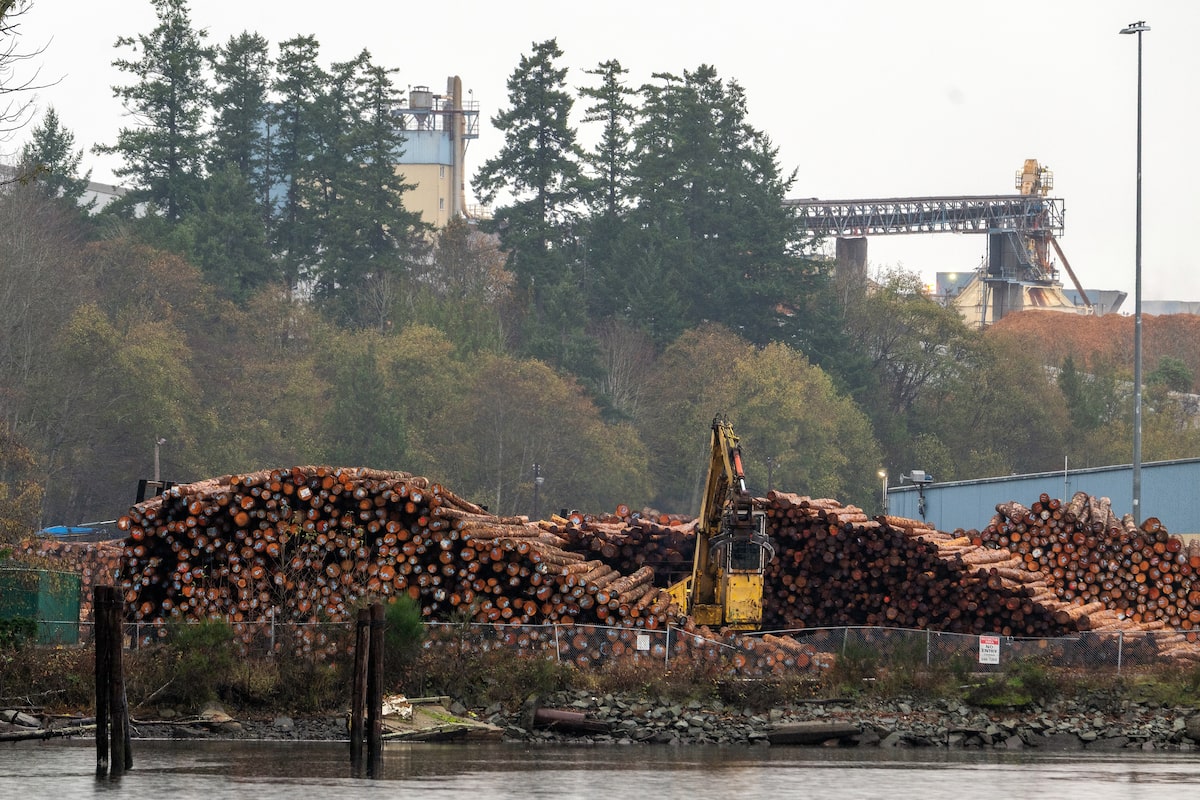 How to save Canada’s troubled forestry industry