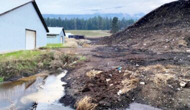 An unlined leachate collection ditch at the north side of the Spa Hills compost facility. (Ministry of Environment and Parks photo)