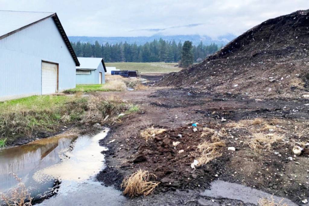 An unlined leachate collection ditch at the north side of the Spa Hills compost facility. (Ministry of Environment and Parks photo)