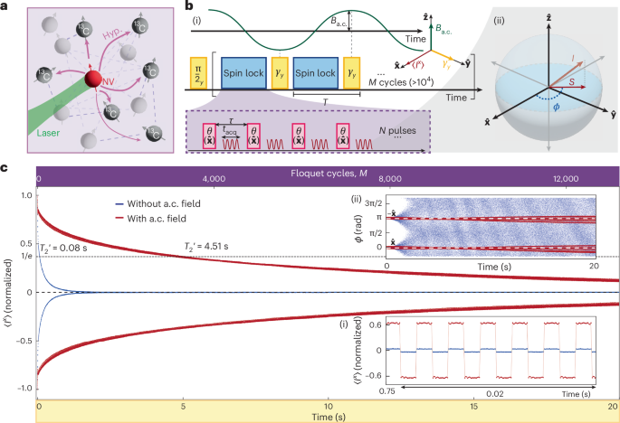Sensing with discrete time crystals