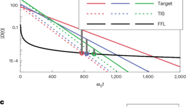High-order virtual gain for optical loss compensation in plasmonic metamaterials