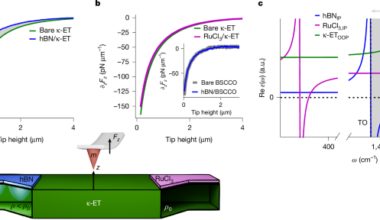 Cavity-altered superconductivity | Nature