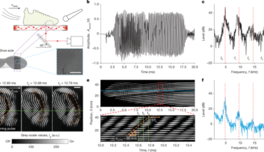 Squeaking at soft–rigid frictional interfaces