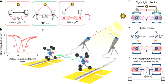Entanglement-assisted non-local optical interferometry in a quantum network