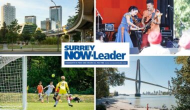 (Graphic: Anna Burns)