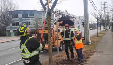 DC Tree Service arborist Riley Eastman (foreground) prunes a tree on 152 Street in February 2025 accompanied by apprentice Dylan Glowa and lane tech Tara Taylor. (Tom Zytaruk/Now-Leader file)