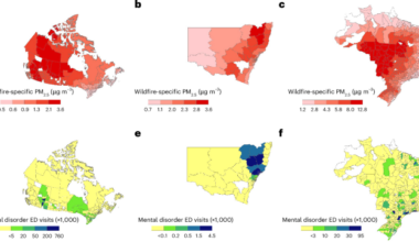 Wildfire-sourced fine particulate matter and mental disorders in children and adolescents