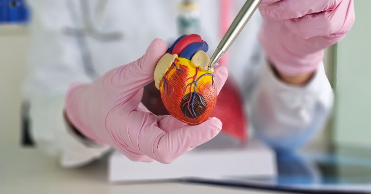 Cardiologist explaining heart disease to a patient. Cardiologist explaining heart disease to a patient.
