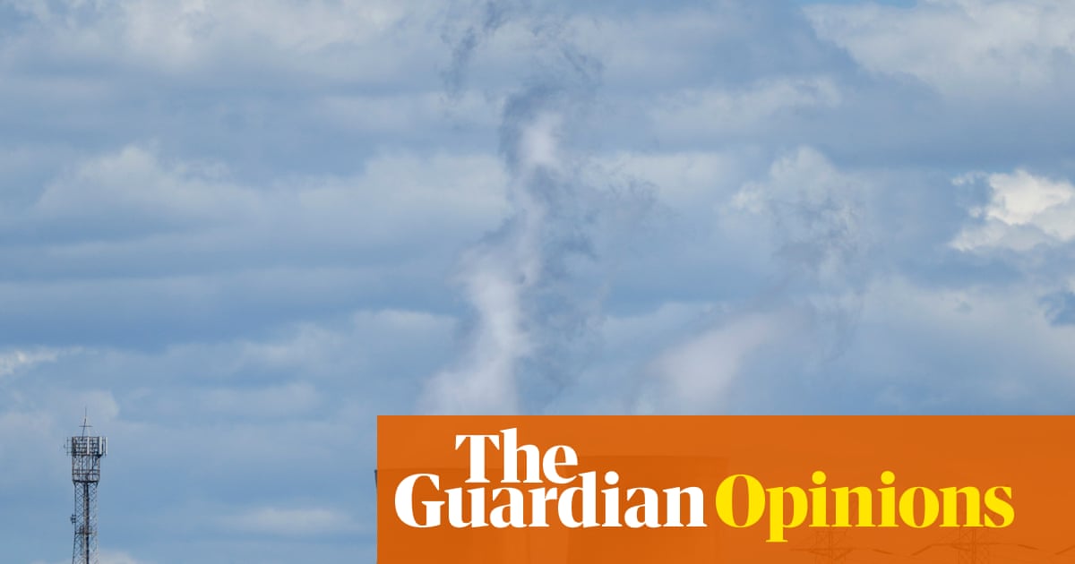 Labor will never have a better time to revisit carbon pricing – but does it have the stomach to make polluters pay? | Adam Morton