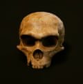 The Kabwe skull in the game.