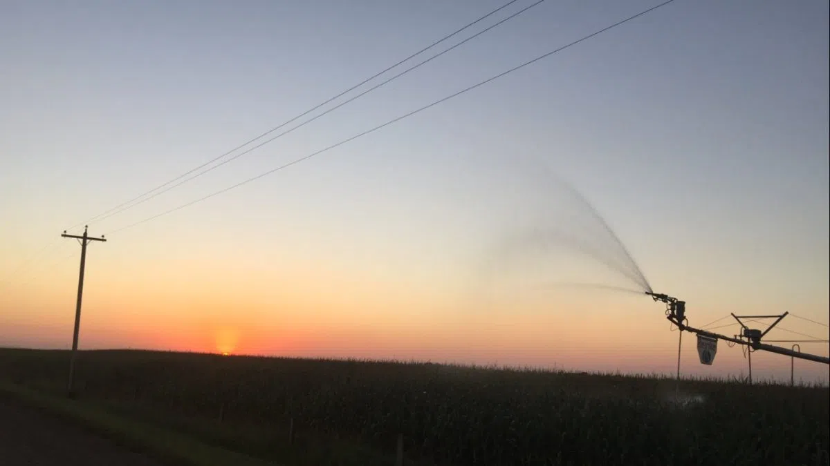 Water supplies in southern Alberta strong in early 2026